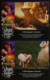 5g065 BABE 8 int'l LCs '95 James Cromwell, classic talking pig comedy, the gallant pig!