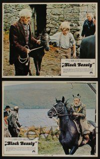 5g081 BLACK BEAUTY 8 LCs '71 Mark Lester, Walter Slezak, Anna Sewell classic horse story!