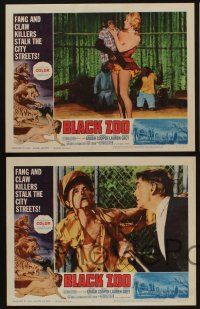 5g726 BLACK ZOO 4 LCs '63 fang and claw killers on the prowl, Michael Gough & Jeanne Cooper!