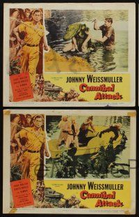 5g633 CANNIBAL ATTACK 6 LCs '54 border art of Johnny Weissmuller w/knife cool images!