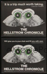 5g750 HELLSTROM CHRONICLE 4 LCs '71 cool huge moth close up image, only THEY will survive!