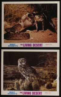 5g761 LIVING DESERT/VANISHING PRAIRIE 4 LCs '71 great images from Walt Disney wildlife double-bill!