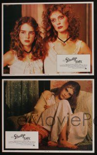 5g425 PRETTY BABY 8 LCs '78 directed by Louis Malle, young Brooke Shields, Susan Sarandon!