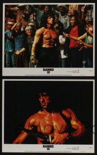 5g437 RAMBO III 8 LCs '88 Sylvester Stallone returns as John Rambo, Richard Crenna