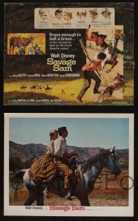 5g459 SAVAGE SAM 8 LCs '63 Disney, tc art of boy & dog fighting Native American, Old Yeller sequel!