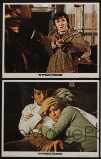 5g794 STRAW DOGS 4 LCs '72 directed by Sam Peckinpah, Dustin Hoffman & Susan George!