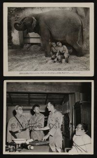 5s976 ROOKIES IN BURMA 2 8x10 stills '43 great images of Wally Brown & disguised Alan Carney!