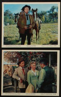 5s028 CATTLE KING 11 color 8x10 stills '63 western cowboy Robert Taylor, Joan Caulfield!