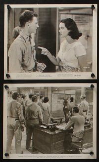 5s620 FRANCIS THE TALKING MULE 6 8x10 stills '49 great images of Donald O'Connor, Patricia Medina!