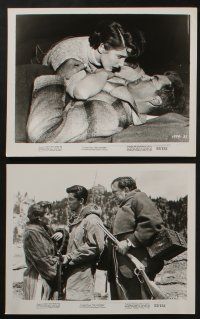 5s391 LOOTERS 10 8x10 stills '55 Rory Calhoun, Ray Danton & Julie Adams are trapped on a mountain!