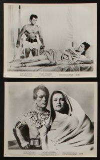 5s437 LOVES OF SALAMMBO 9 8x10 stills '62 great images of Edmund Purdom & sexy Jeanne Valerie!