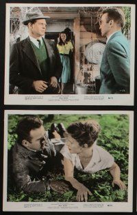 5s039 WILD RIVER 10 color 8x10 stills '60 directed by Elia Kazan, Montgomery Clift, Lee Remick!