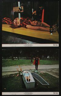 5s122 WIZARD OF GORE 8 8x10 mini LCs '70 Herschell Gordon Lewis, wild & gory horror images!