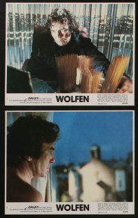 5s124 WOLFEN 8 8x10 mini LCs '81 Albert Finney, Gregory Hines, there is no defense vs werewolves!