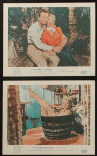 5s108 WHITE ORCHID 8 color English FOH LCs '54 William Lundigan, Peggie Castle, Armando Silvestre