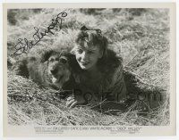 5t400 IDA LUPINO signed 8x10.5 still '47 great close up on ground with cute dog from Deep Valley!