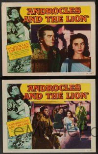 5w039 ANDROCLES & THE LION 8 LCs '52 Victor Mature, beautiful Jean Simmons, border art of big cat!