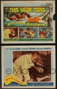 5w078 BOY ON A DOLPHIN 8 LCs '57 great images of scuba divers Alan Ladd & sexiest Sophia Loren!