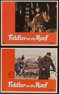 5w164 FIDDLER ON THE ROOF 8 LCs '71 Topol, Norma Crane, directed by Norman Jewison!