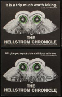 5w791 HELLSTROM CHRONICLE 4 LCs '71 cool huge moth close up image, only THEY will survive!