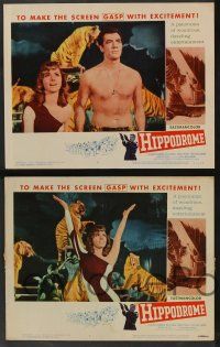 5w213 HIPPODROME 8 LCs '61 Geliebte Bestie, cool circus art, the thrill of death-defying drama!