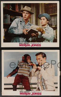 5w699 MISADVENTURES OF MERLIN JONES 5 LCs '64 Disney, art of Annette Funicello, Kirk & chimp!