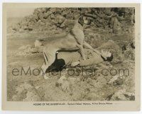 6a422 HOUND OF THE BASKERVILLES 8x10.25 still '31 cool huge dog pins man to the ground!