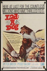 6f503 LAD A DOG 1sh '61 wonderful full-length Collie dog artwork!