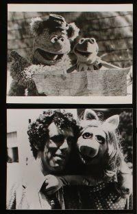 6h204 MUPPET MOVIE 48 8x10 stills '79 Jim Henson, Kermit the Frog & Miss Piggy, Mel Brooks!