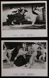 6h622 SCREAMING TIGER 8 8x10 stills '73 cool images, the new king of kung fu-karate!