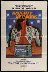 6t567 NAUGHTY NETWORK 1sh '81 the station that turns YOU on, sexy artwork!