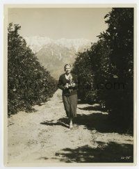 6x025 ANN HARDING 8x10 still '30s getting some fresh California oranges by Gaston Longet!