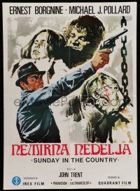 6z621 SUNDAY IN THE COUNTRY Yugoslavian 20x28 '74 Ernest Borgnine, cool different artwork!