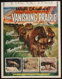 7c396 VANISHING PRAIRIE WC '54 a Walt Disney True-Life Adventure, cool art of stampeding buffalo!