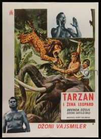 7p362 TARZAN & THE LEOPARD WOMAN Yugoslavian 20x28 '60s art of Johnny Weissmuller fighting lion!