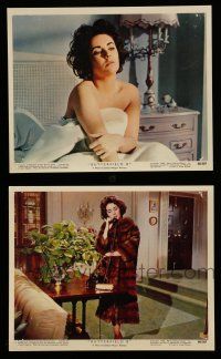 7s171 BUTTERFIELD 8 2 color 8x10 stills '60 images of sexy callgirl Elizabeth Taylor, Daniel Mann!