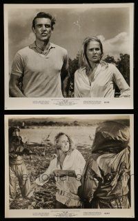 7s945 DR. NO 2 8x10 stills '62 Sean Connery as James Bond w/ sexy Ursula Andress!