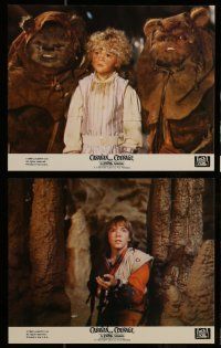 7s062 CARAVAN OF COURAGE 8 8x10 mini LCs '84 An Ewok Adventure, Star Wars, great images!