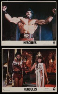 7s080 HERCULES 8 8x10 mini LCs '83 images of strongman Lou Ferrigno & sexy Sybil Danning!