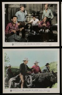7s045 LION & THE HORSE 10 color 8x10 stills '52 Steve Cochran & Wildfire in the title role!
