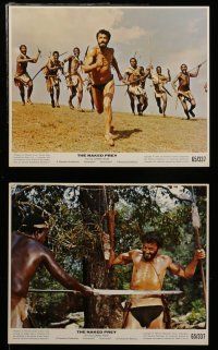 7s020 NAKED PREY 12 color 8x10 stills '65 Cornel Wilde stripped in Africa running from killers!