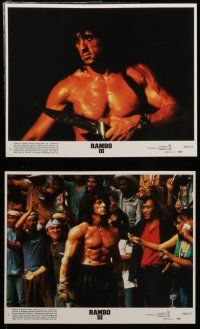7s104 RAMBO III 8 8x10 mini LCs '88 Sylvester Stallone returns as John Rambo, cool images, Crenna!