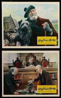 7s196 GREYFRIARS BOBBY 8 color English FOH LCs '61 Walt Disney, great images of cute Skye Terrier!
