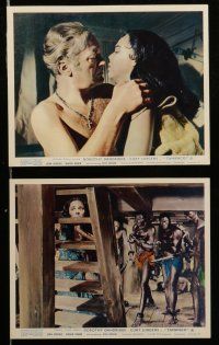 7s248 TAMANGO 7 color English FOH LCs '59 sexy Dorothy Dandridge, Curt Jurgens, interracial romance