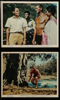 7s239 TARZAN GOES TO INDIA 8 color English FOH LCs '62 Jock Mahoney as the King of the Jungle!