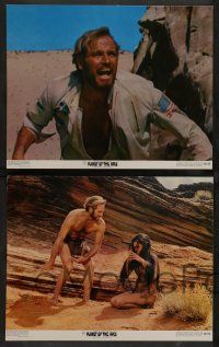 7w529 PLANET OF THE APES 8 color 11x14 stills '68 Charlton Heston, Linda Harrison, classic sci-fi!