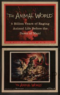 7w043 ANIMAL WORLD 8 LCs '56 Irwin Allen, great special fx image & artwork of dinosaurs!