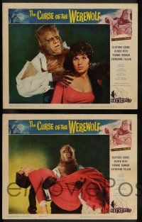 7w164 CURSE OF THE WEREWOLF 8 LCs '61 Hammer, Oliver Reed, Anthony Dawson, sexy Yvonne Romain!