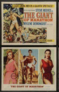7w269 GIANT OF MARATHON 8 LCs '60 Tourneur & Mario Bava's La Battaglia di Maratona, Steve Reeves!
