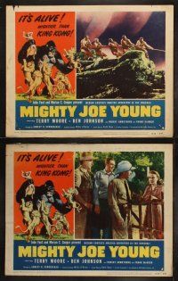 7w434 MIGHTY JOE YOUNG 8 LCs R53 first Ray Harryhausen, directed by Ernest B. Schoedsack!